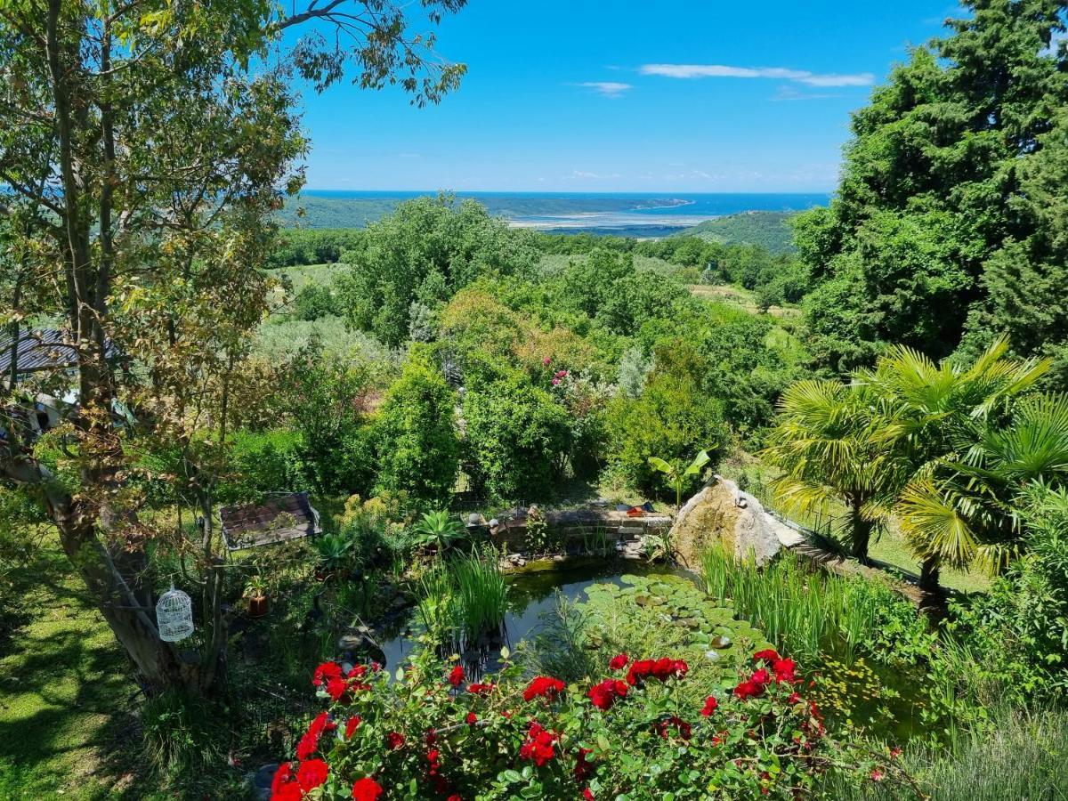 Garden Apartment Сечовле Экстерьер фото