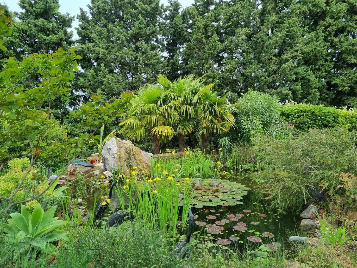 Garden Apartment Сечовле Экстерьер фото