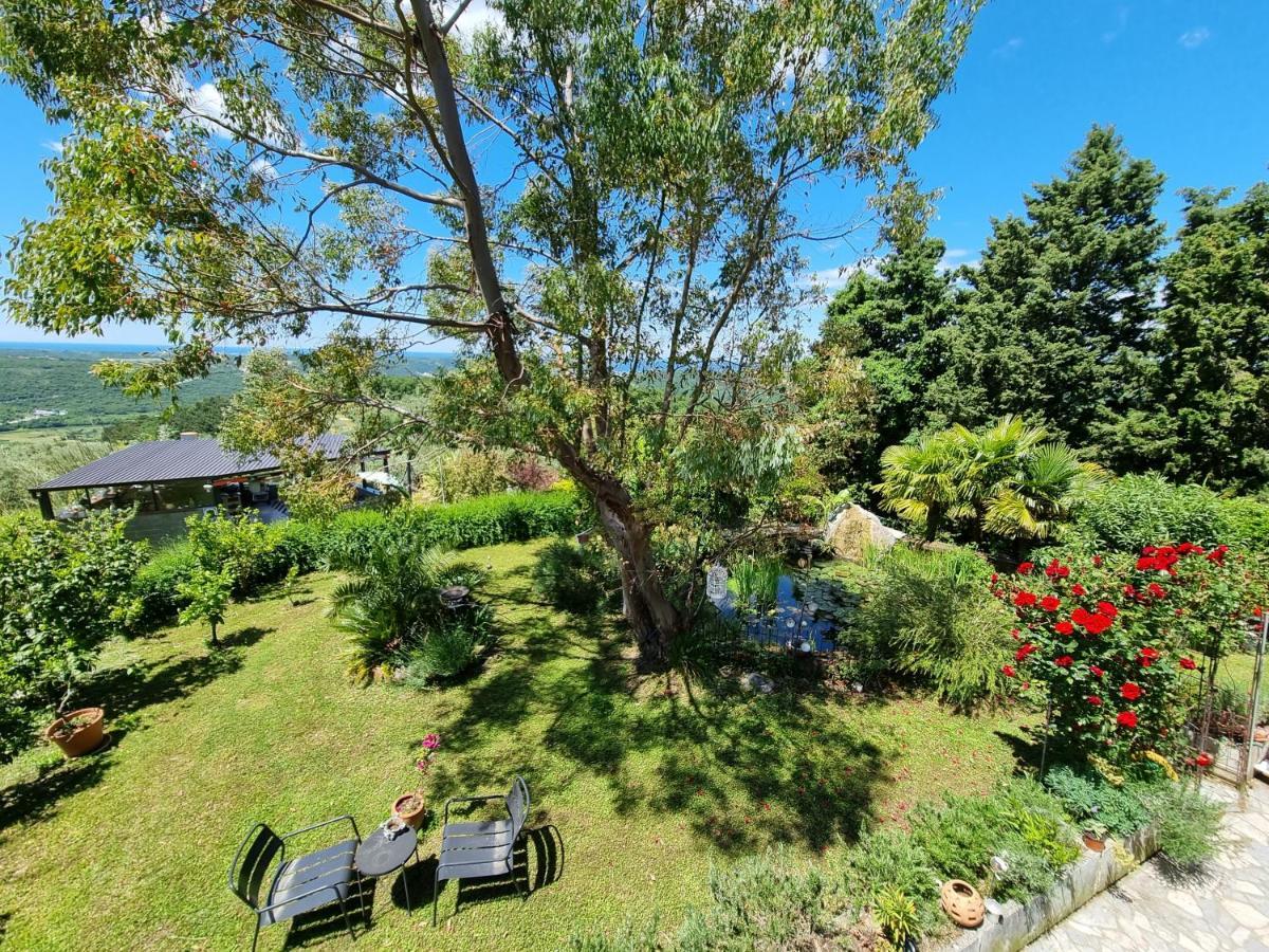 Garden Apartment Сечовле Экстерьер фото