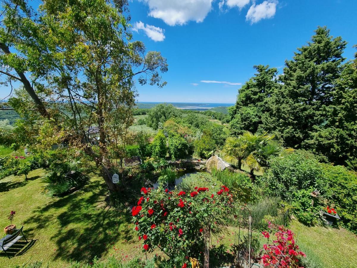 Garden Apartment Сечовле Экстерьер фото